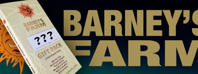 Geschenk-Packung von Barney´s Farm mit unbekannter Sorte. Angedeutet durch Fragezeichen auf der Packung.