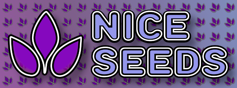 Grosses violettes Nice Seeds Logo im Nice Plants Design. Violette kleine Nice Plants Leafs als Endlosmuster schräg verlaufend im Hintergrund.