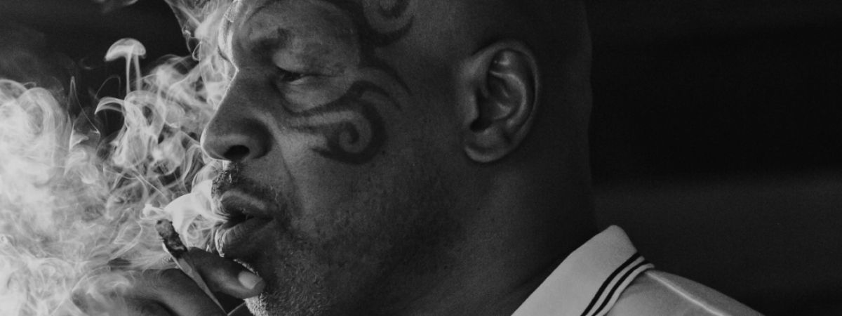 Mike Tyson links im Bild, Ein Boxhandschuh rechts im Bild, In der Bildmitte sind 6 Packungen mit Cannabissamen von Royal Queens Seeds, Darüber ist der Schriftzug: Royal Queen Seeds x Tyson 2.0