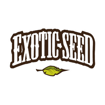 Exotic Seed Cannabis Samen kaufen in Berlin Exotic Seed Cannabis Samen kaufen
